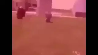 .webm
