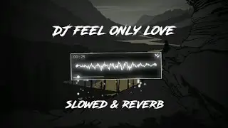 Dj feel only love ( slowed & reverb ) 🎧