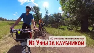 Из Уфы за клубникой