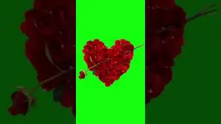 Love Effects | Green Screen Video | Green Screen Effects | VFX Animation