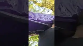 Purple Unwind 