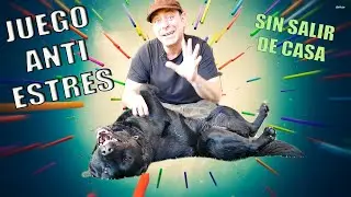 The BEST TRICK to RELAX and CALM your DOG (Anxiety, Aggression and Very Nervous)