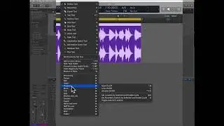Loops and Tempo in Logic Pro