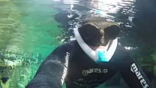 Skin Diving with the Powerbreather in Iceland
