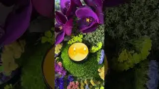 🌸Крем-свеча APHRODISIAC by Tatyana Strength х Miss Pavlova ® ❤️