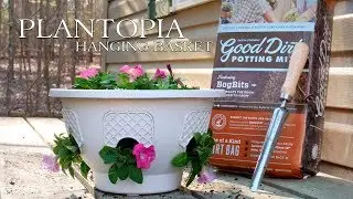 Best Way To Plant Flowers Using A Plantopia Hanging Basket