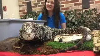 Zoo School Live! - 3.30.20