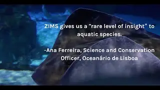 Oceanarium and Aquarium leaders talk ZIMS