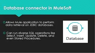 Connecting to the database in MuleSoft using Database connector