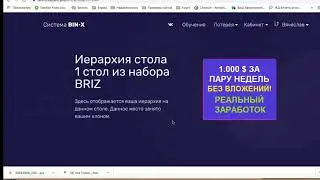 BIN   X  покупка клон в 3 й стол за 100 руб