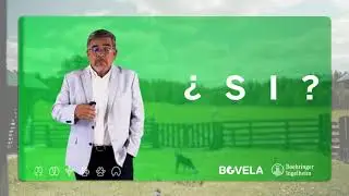 ¿Por qué DVB un enemigo oculto?