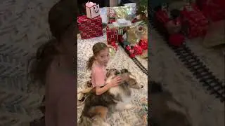 Merry Christmas 2023!!!