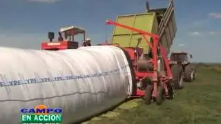 Claudio Plem | Plem Silage | Chopped Corn