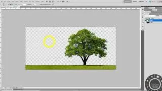 Photoshop - Dekupe İşlemi (Arka Plan Temizleme)