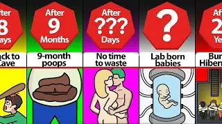 Timeline: If Humans Had to Hibernate Like Bears