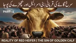 History of Red Heifer | Para Adumah | The Sin of Golden calf | Bachray ki Pooja | Part 1 #redheifer