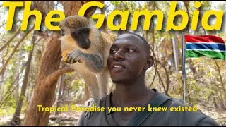 Exploring the Beauty of The Gambia — As a Gambian