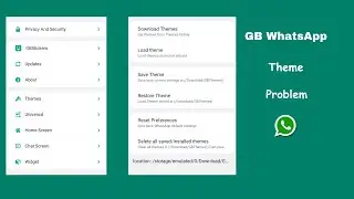 GB WhatsApp Theme Settings| GB WhatsApp Theme Problem 2023