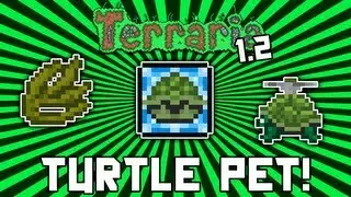 Terraria 1.2: How to get the Turtle Pet! (Seaweed Summoning Item) @demizegg