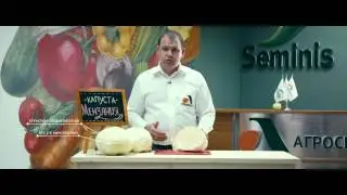 Капуста Мензания F1