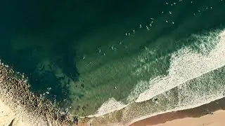 Surfing camp in Sagres | Algarve | 4K