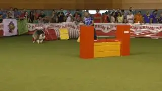 Crak 2017 05 27 Cpto España Jumping
