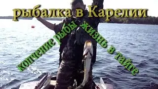 Cold Smoking fish in the forest.Fishing in Karelia.