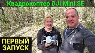 We bought a DJI Mini SE quadcopter. Review. The first launch.