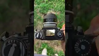 Nikon F3 35mm Film Camera POV Photography