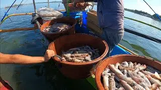 Dagsa ang Pusit 100 Kilo's Huli ng Bawat Bangka Gamit ang Kiw-kiw | BillyAillySeaTV