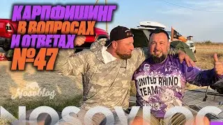 Карпфишинг в вопросах и ответах #47, Колесников А., Миненко П.