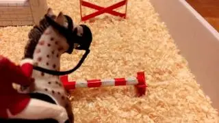 Обзор на плац и препятствия для лошадей Schleich