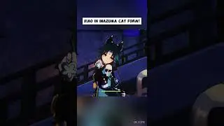 Xiao in Inazuma cat form! | Genshin Impact
