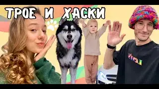 ТРОЕ И ХАСКИ