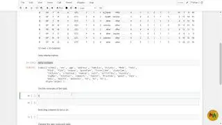 Describing the data in Python