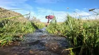 REWILDING EN LOS CAÑADONES DE PARQUE PATAGONIA ARGENTINA