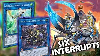 Ragnaraika Beetrooper deck Combo (YUGIOH BUDGET DECK