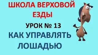 Как управлять лошадью