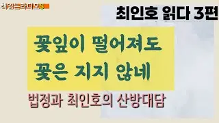 *작가 최인호 읽다 3편ㅣ꽃잎이 떨어져도 꽃은 지지 않네 ㅣ법정과 최인호작가의 대담 #책읽는라디오S