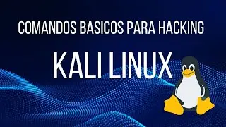 Primeros comandos Linux para hacking (nivel novato)