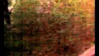 27042011150.mp4