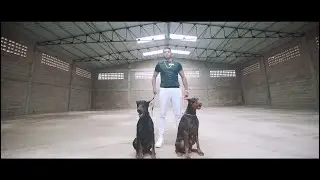 Triad (Official Clip Video)