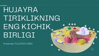 Hujayra tirikling eng kichik birligi / biologiya/ online dars