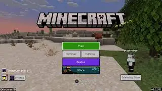 Minecraft
