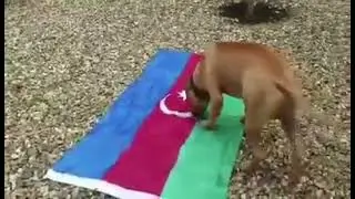 Да здравствуют свободные республики  Арцах, Аварстан, Лезгистан, Талишстан