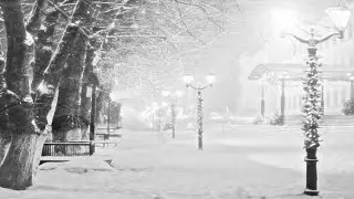 Tim Story | Asleep The Snow Came Flying