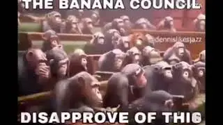 “The Banana Council Disapproves Of This”
