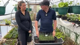 Trying something new - gardening basics series