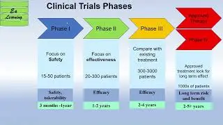 Clinical Trials Phases