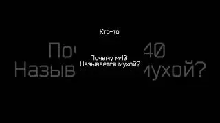Муха цокотуха аххаах 